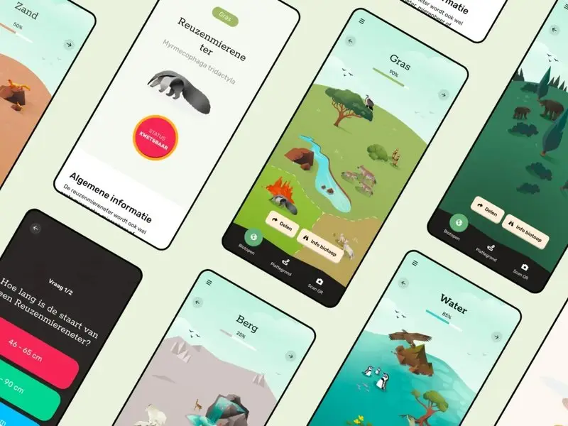 Scopri Winnita Casino: Accedi, Gioca e Vinci con l'App